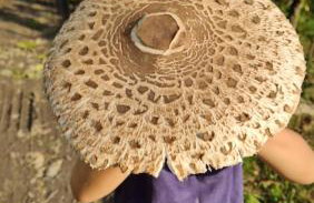 Derkaczowa Kotlina - Foto 77