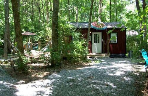 Secluded Sedona Tiny House in Woods Near Lake | Fire Pit, Hammocks, Full Kitchen & Breakfast - Foto 50