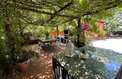 Agriturismo Podere Marchiano - Foto 63