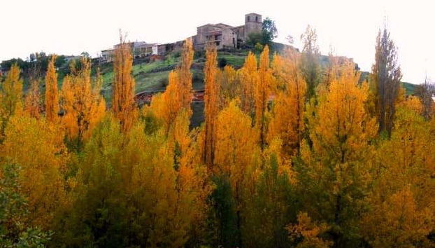 Tour in Brihuega - Photo 4