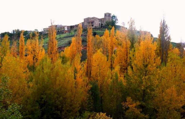 Tour in Brihuega - Photo 4