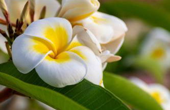 Nice to stay - Foto 23