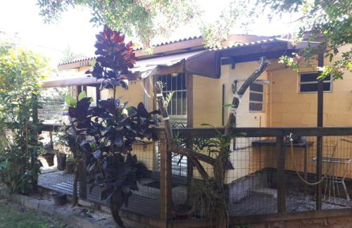 Mini casa (kit net) - Foto 60