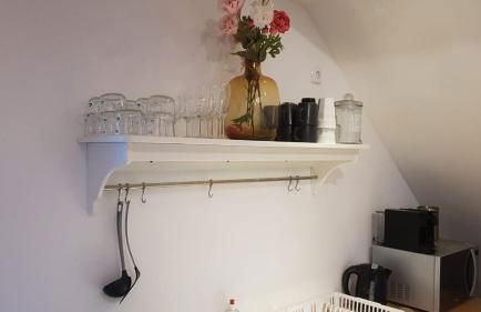 Penthouse Apartment - Foto 11