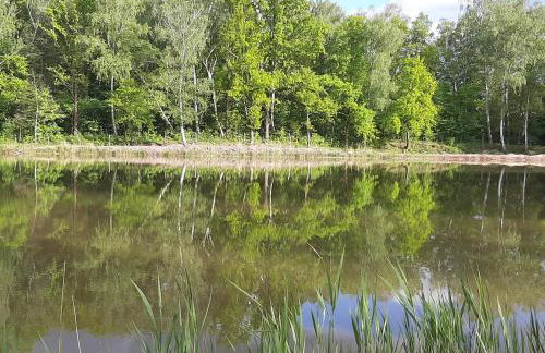 "Sielski Zakątek" - domek całoroczny - Foto 46