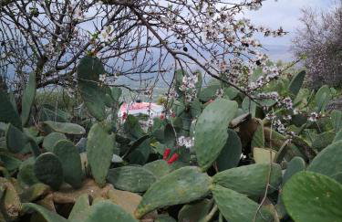 Casa Opuntia - Foto 50