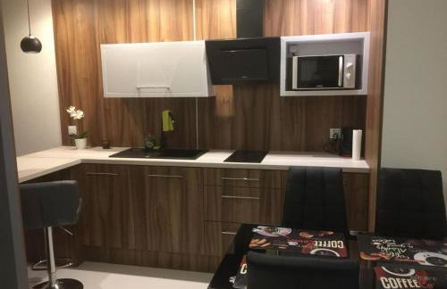 Apartments DeLuxe Center NOWY ŚWIAT - Photo 15