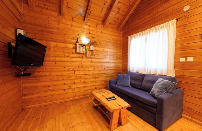 Belfer's Dead Sea cabins- Apartments - Photo 9