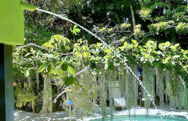 Unique Art Nature Hideaway Walkable to Wilton Drive - Foto 17