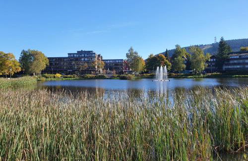 Harz Enjoy - Vier Jahreszeiten - Photo 22