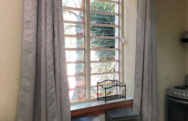 Gladiolas 1 209 - Foto 12