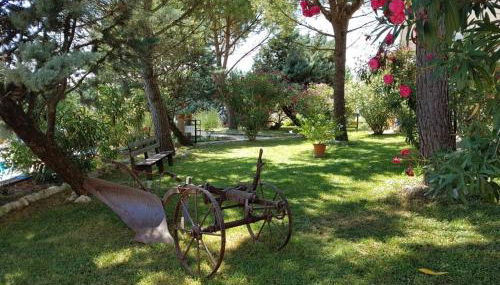 Agriturismo La Ginestrella - Foto 5