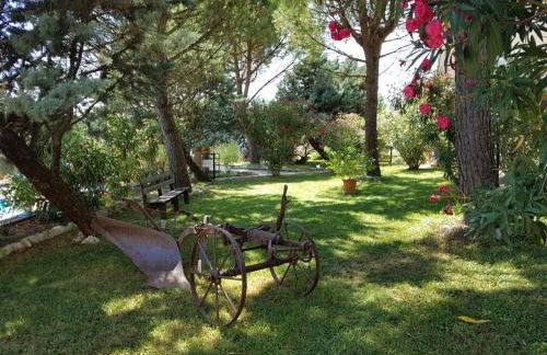 Agriturismo La Ginestrella - Foto 5