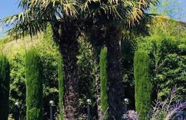 Clos Azyadé - Foto 19