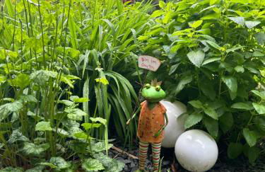 Ferienapartments Engeln Eifel - Foto 29