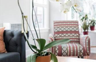 Historic Hm Mins to Beach, Convention Ctr Parking LB E - Foto 20