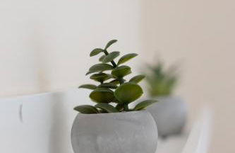 Santa Marina 2 - Foto 31