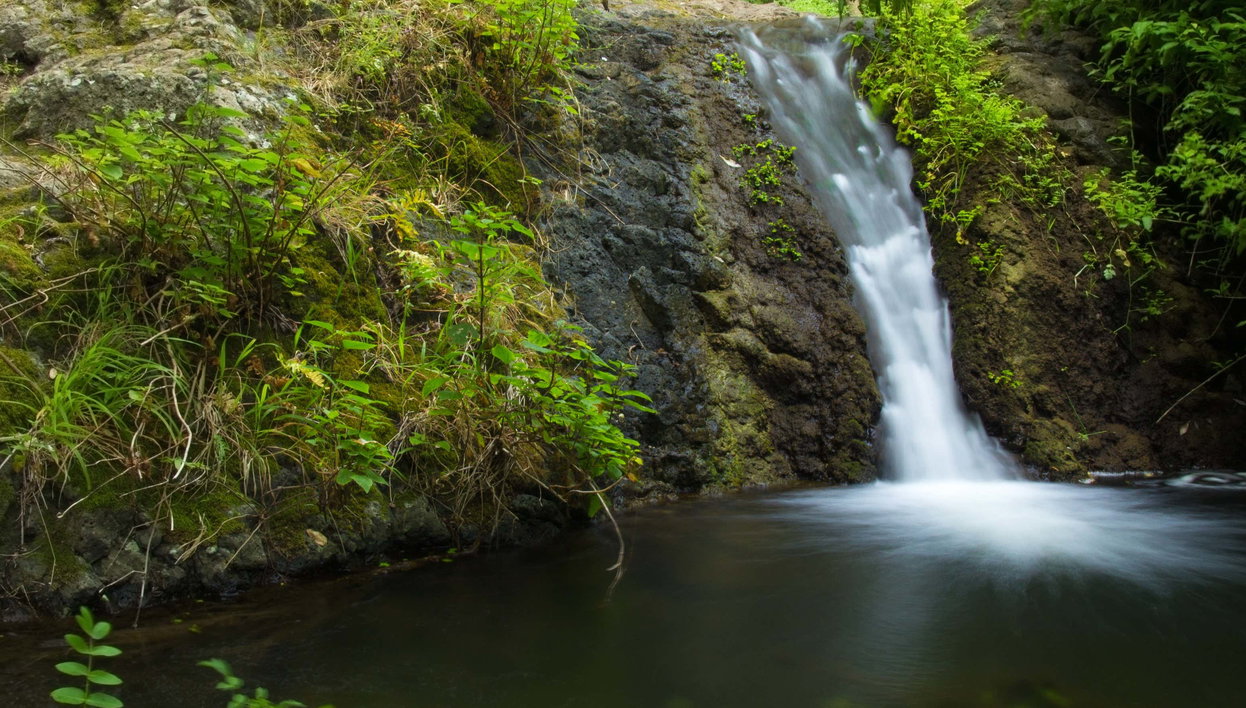 Senderismo por el barranco de Azuaje - Foto 1, Senderismo por el barranco de Azuaje