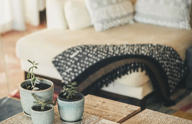 Vale Pisco - Photo 49