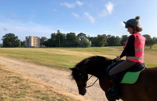 The Hollies, Dorset - Foto 44