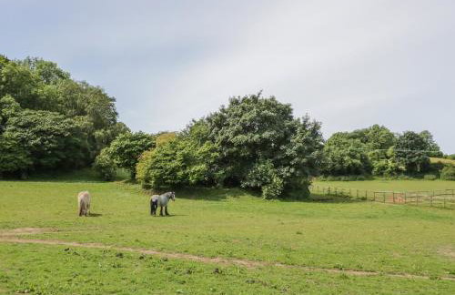 Pen Y Bryn Cottage - Foto 36