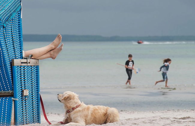 Holiday Home in Damp for 6 Person - Foto 35