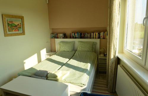 Apartament Babitonga I - Photo 29