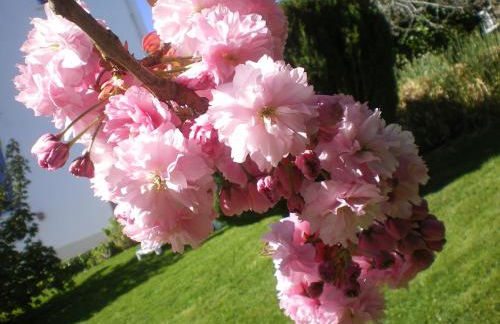 Résidence de l'Espérance - Foto 19