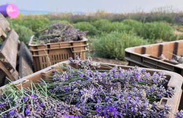 Casa laggiù - Foto 47