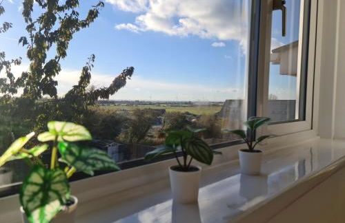 Minster Leas - Foto 30