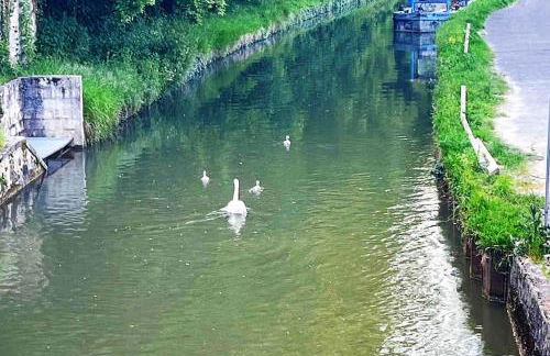 Le petit cocon de Kintana -Disney-Parking - Foto 16