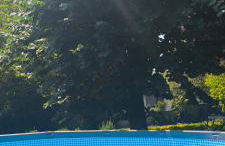 Azkorri Beach House 9 rooms Bilbao - Foto 11