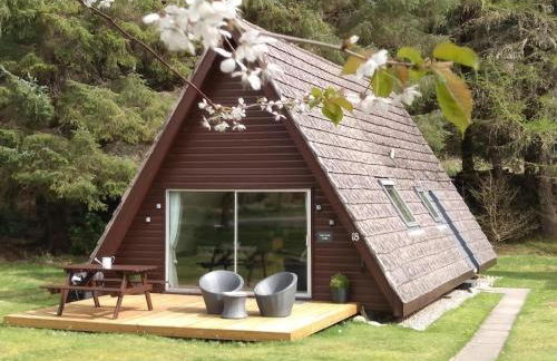 True North Lodge - A cosy wee highland Getaway - Photo 38