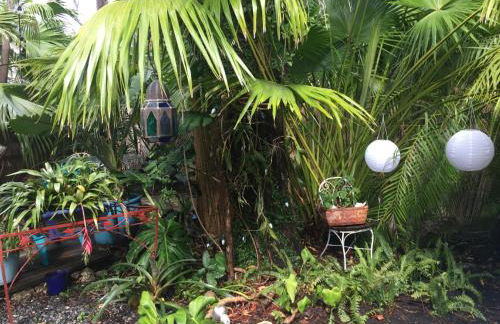 The Wild Rose - Foto 24