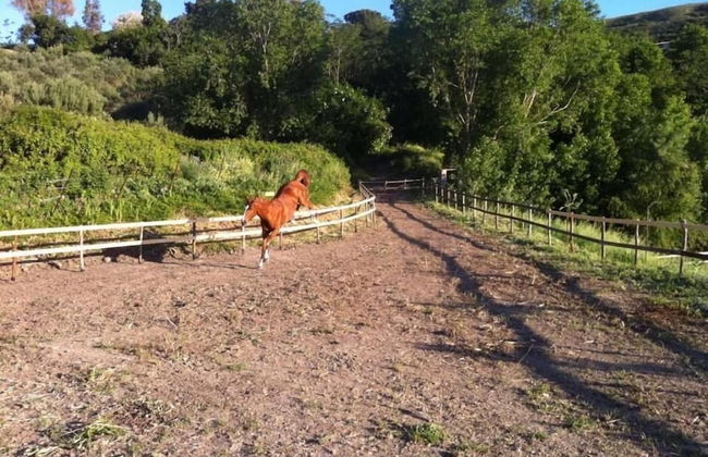Ridocco Agriturismo - Photo 31