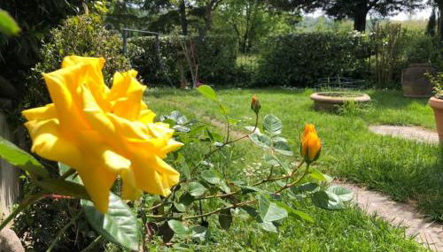 Casa del Riccio - Foto 4, Garden, Garden view