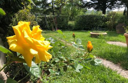 Casa del Riccio - Foto 4