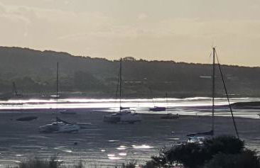 RACINES MARINES - Foto 25