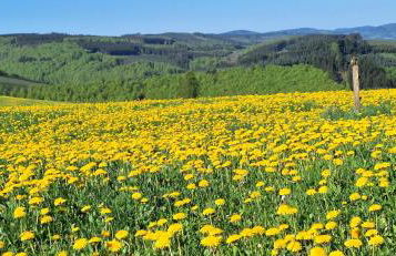 Landhaus Gnacke - Foto 33