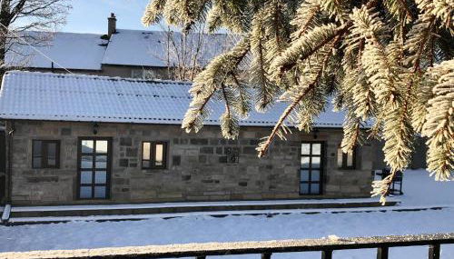 The Owl Stony Snug - Foto 5