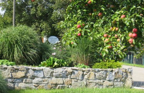 Haus Spiessl - Foto 20