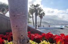 Tropical Leaves Puerto de la Cruz Tenerife - Foto 20