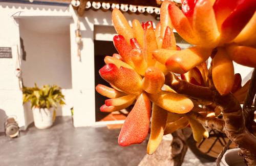 Refúgio do Frade - Foto 18