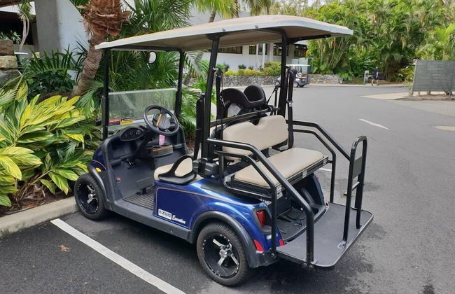 Frangipani 103 - Photo 14