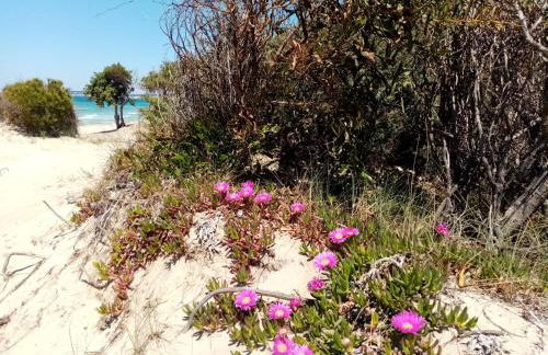 Residence Orsa Minore - Photo 78