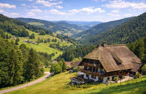 Exklusive Penthouse Wohnung, nahe zur Schweiz DA VINCI - Foto 49