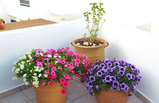 Villa Stefania with Pool - Photo 20