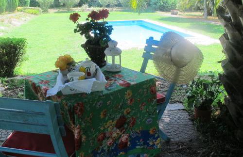 No Meio da Natureza - Turismo No Espaco Rural - Foto 32