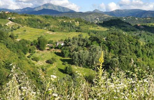 Guest House in Monferrato with Wine Tasting - Foto 57