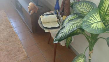 Casinha feliz - Foto 4